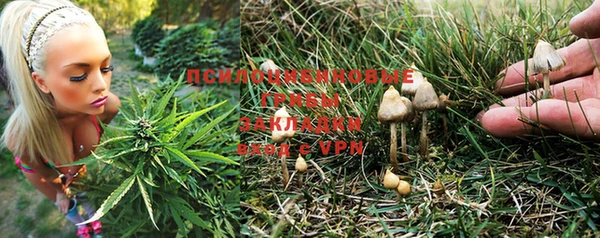 марихуана Гусев